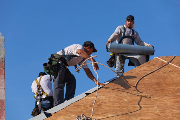 Best Roof Gutter Cleaning  in Ogden, KS